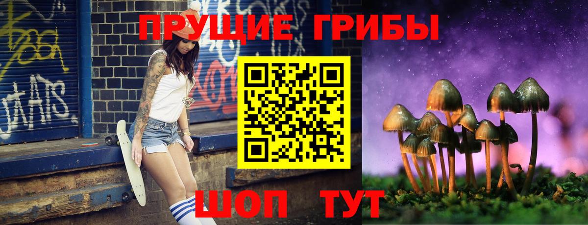 Вольск  закладка  Вход с VPN  Псилоцибиновые грибы мухоморы 