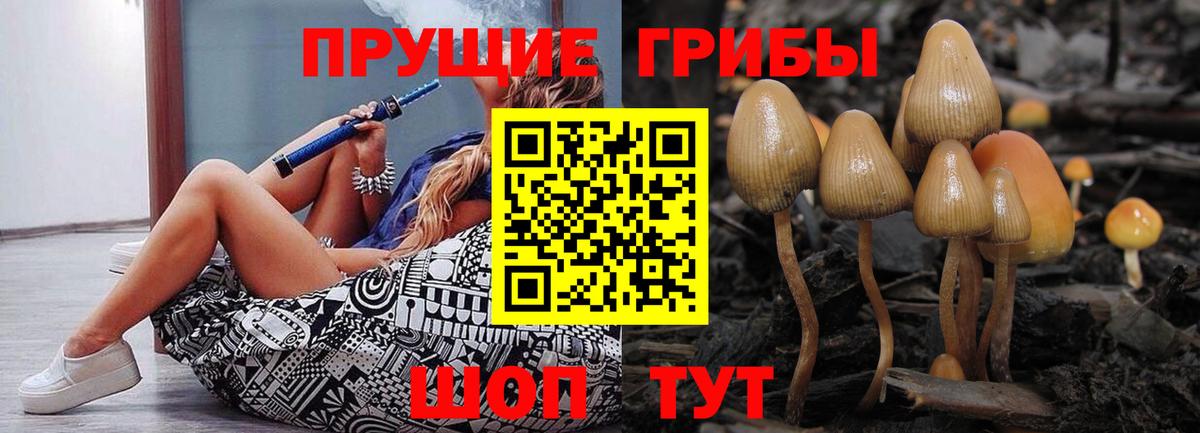 Псилоцибиновые грибы GOLDEN TEACHER Вольск