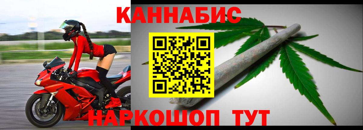 Конопля сатива Вольск